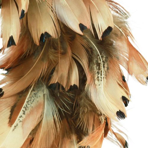 Artículo Corona de plumas plumas reales corona de plumas de faisán marrón Ø24cm