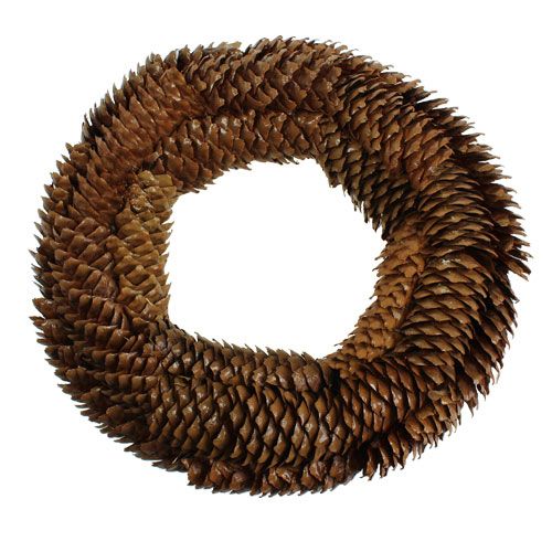 Corona de conos de abeto Ø27cm