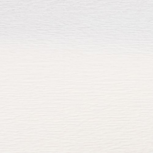 Artículo Papel crepé de floristería blanco 50x250cm