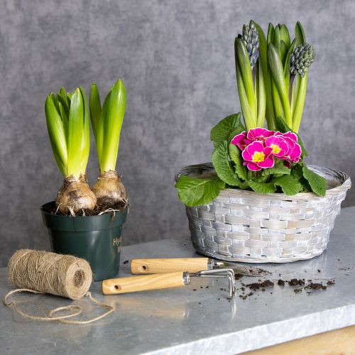 Artículo Cesta tejida como elegante decoración floral para el salón. Cesta de Pascua, 23 cm, 6 unidades.