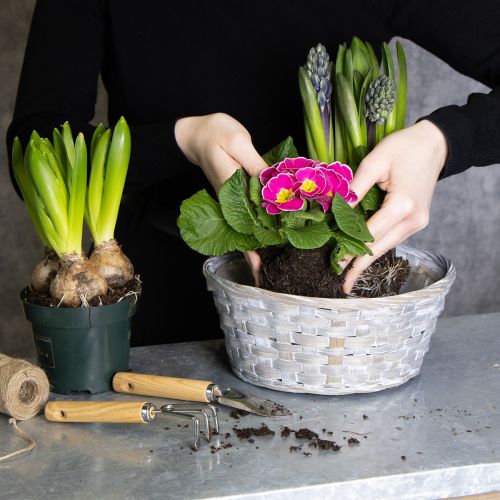 Artículo Cesta tejida como elegante decoración floral para el salón. Cesta de Pascua, 23 cm, 6 unidades.