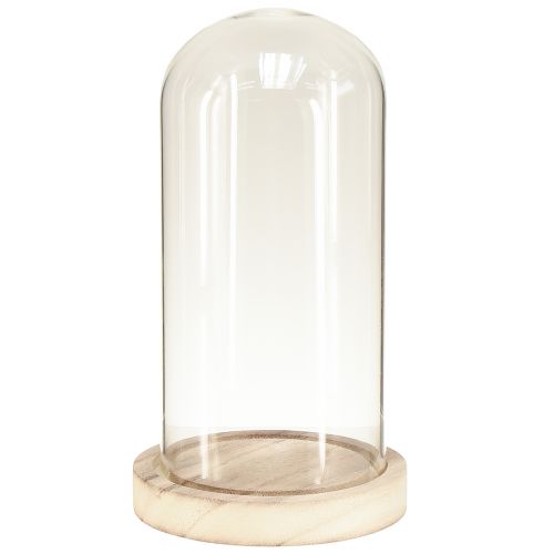 Artículo Campana de cristal con base de madera natural transparente Ø12cm H21cm