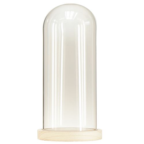 Artículo Campana de cristal con dintel de cristal con base de madera transparente Ø14cm H28,5cm