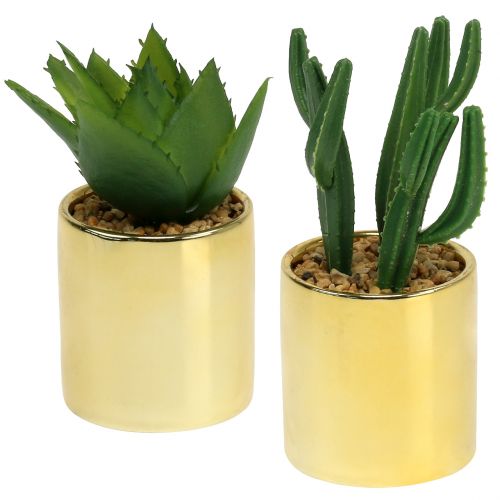 Cactus verde en maceta dorada 12cm - 17cm 4pcs