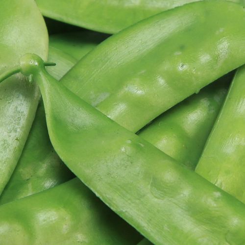Artículo Guisantes verdes Alimento artificial Verduras 11,5 cm 24 piezas