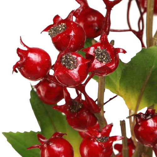 Artículo Rama decorativa de escaramujo con frutos rojos L60cm 2 piezas