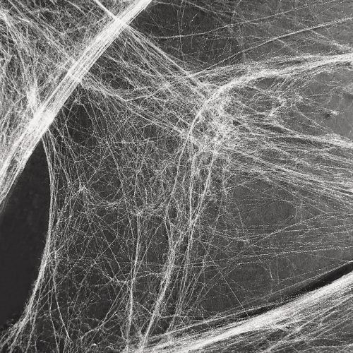 Floristik24 Decoración de Halloween telaraña telarañas 70×100cm 150g