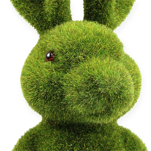 Floristik24 Conejito de pascua verde oscuro 44cm