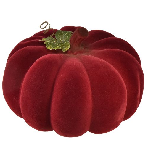 Floristik24 Calabaza decorativa otoñal flocada en rojo burdeos - decoración de calabaza para un ambiente otoñal único 32 cm
