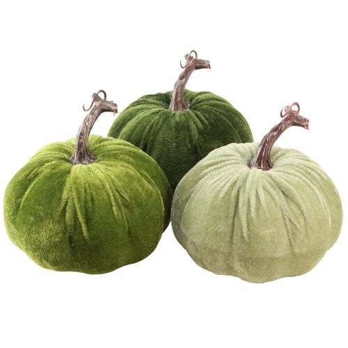 Floristik24 Decoración otoñal calabaza verde claro verde verde oscuro Ø13cm 3 piezas
