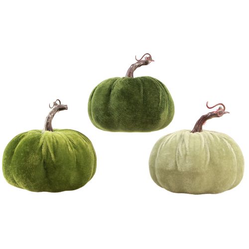 Floristik24 Decoración otoñal calabaza verde claro verde verde oscuro Ø13cm 3 piezas