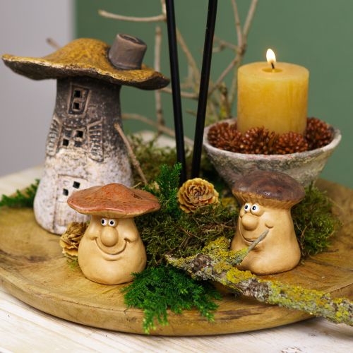 Artículo Set de decoración otoñal: erizo, setas y dragón. Comprar caja decorativa a buen precio.