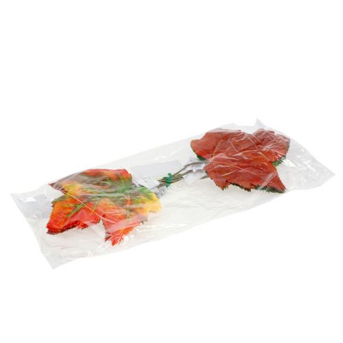 Floristik24 Decoración de hoja de arce 36cm 12pcs