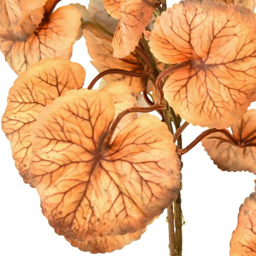 Artículo Heuchera Hojas Redondas Plantas Artificiales Otoño L66cm