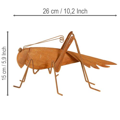 Artículo Adorno de jardín con forma de saltamontes, metal oxidado, decoración independiente, 26 cm.