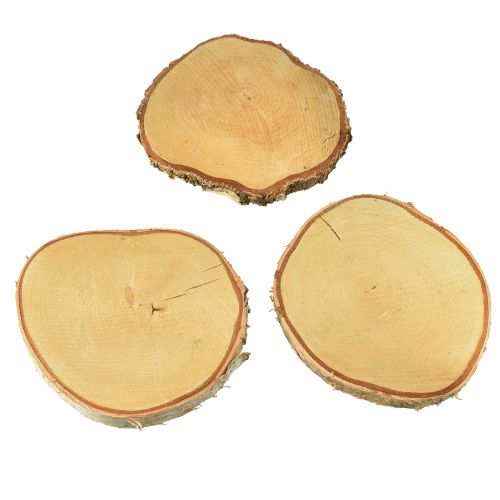 Floristik24 Discos de madera madera de abedul con corteza discos de árbol Ø20-22cm 3 piezas