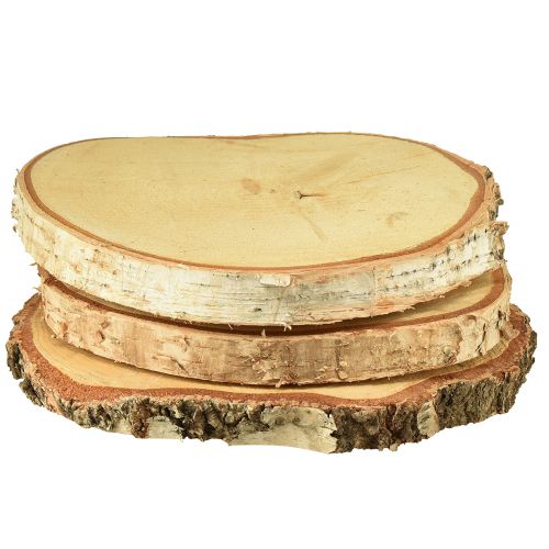 Floristik24 Discos de madera madera de abedul con corteza discos de árbol Ø20-22cm 3 piezas