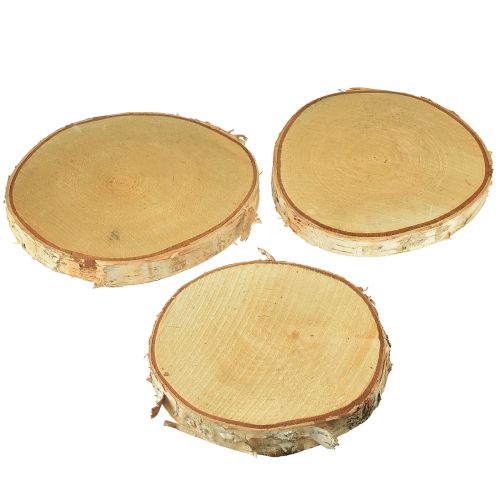 Artículo Discos de madera discos decorativos de abedul Ø15-18cm 3 piezas