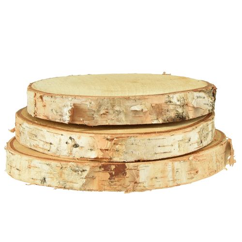 Floristik24 Discos de madera discos decorativos de abedul Ø15-18cm 3 piezas