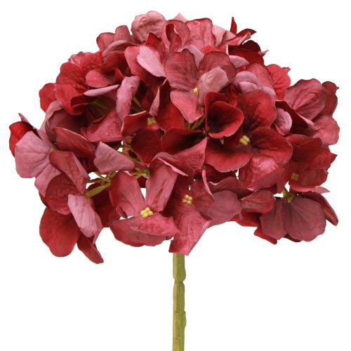 Artículo Hortensia Artificial Borgoña Flor Grande Ø15cm L58cm 2ud