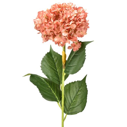Floristik24 Hortensia Rosa 80cm 1 ud