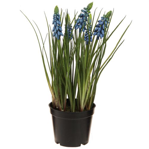 Artículo Jacintos artificiales en maceta azul 24cm