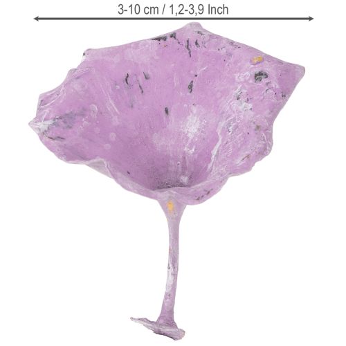 Artículo Hongo Kalix Morado, Lavado Blanco 100 uds
