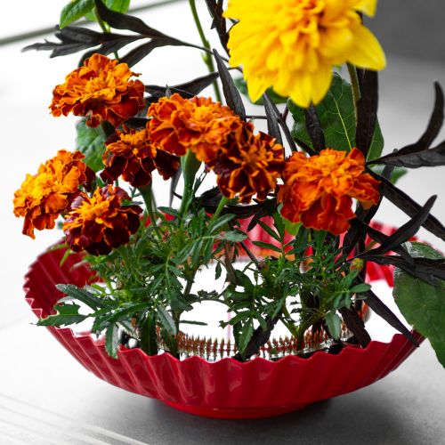 Artículo Kenzan, pasador de latón, Ø150 mm