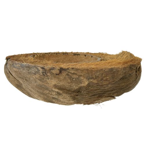 Floristik24 Coco como macetero macetero natural 20cm 5uds