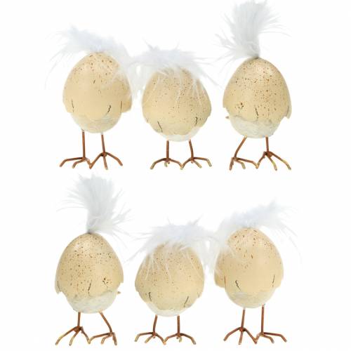 Floristik24 Pollito en la clara de huevo, crema 6cm 6uds