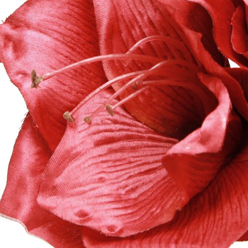 Artículo Amarilis Artificial Flores Artificiales Rojo Ø18cm L68cm 2ud