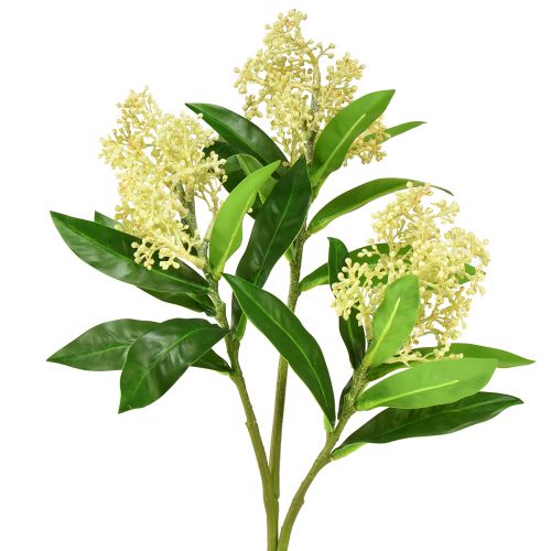Floristik24 Flores artificiales crema Skimmia japonica Skimmie 45cm 2ud
