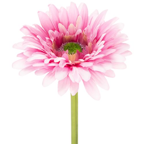 Flores artificiales de gerbera para jardín, color rosa, 47 cm, 6 unidades comprar | Floristik24.es