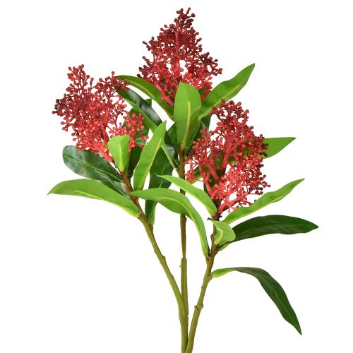 Artículo Flores artificiales Skimmia japonica roja Skimmie 45cm 2 piezas