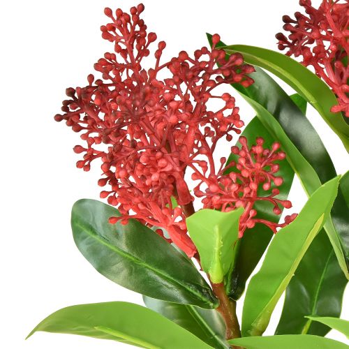 Artículo Flores artificiales Skimmia japonica roja Skimmie 45cm 2 piezas