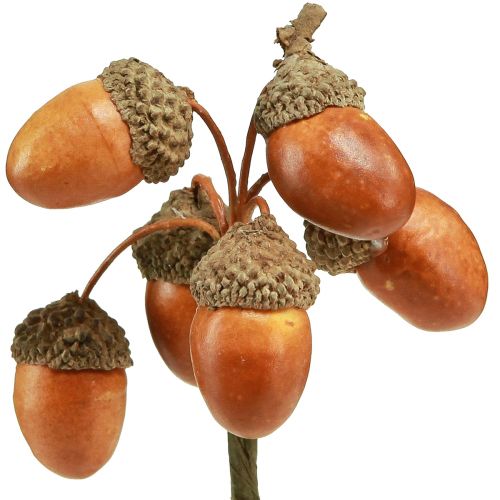 Floristik24 Bellotas artificiales sobre alambre decoración para corona de otoño 3cm 6uds