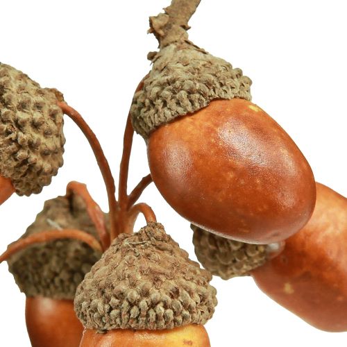 Floristik24 Bellotas artificiales sobre alambre decoración para corona de otoño 3cm 6uds