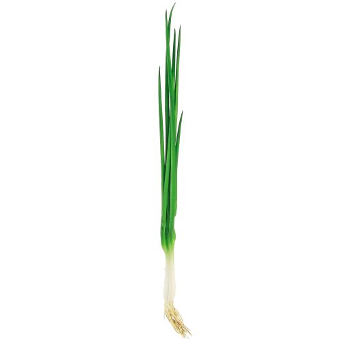 Artículo Cebolletas artificiales vegetales decorativos L30cm 4 piezas