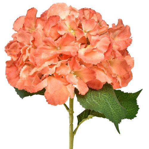 Floristik24 Hortensia artificial Flor decorativa gigante salmón Ø23cm L84cm
