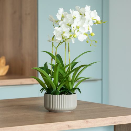 Floristik24 Orquídeas artificiales flores artificiales en maceta blanca 60cm