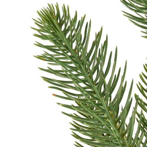 Floristik24 Ramas de abeto artificiales en verde L50cm 3 piezas