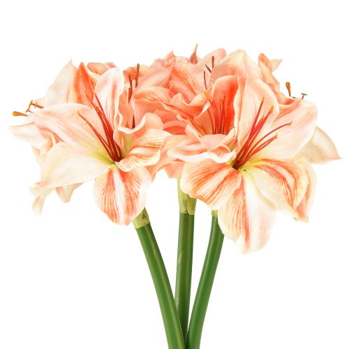 Artículo Estrella de Caballero Artificial Flores Artificiales Blanco Rojo Naranja Amarilis 40cm 3uds