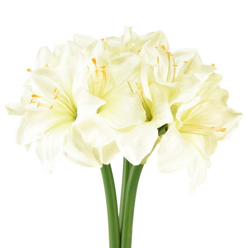 Artículo Estrella de caballero artificial como flores artificiales reales amarilis blanca 40 cm 3 piezas
