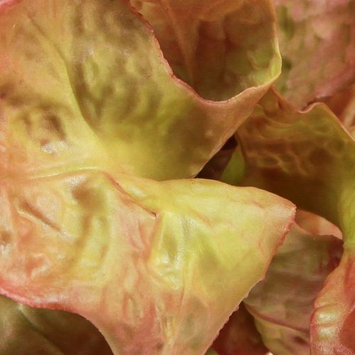 Artículo Lechuga artificial Lollo Rosso cabeza de lechuga decorativa Ø20cm