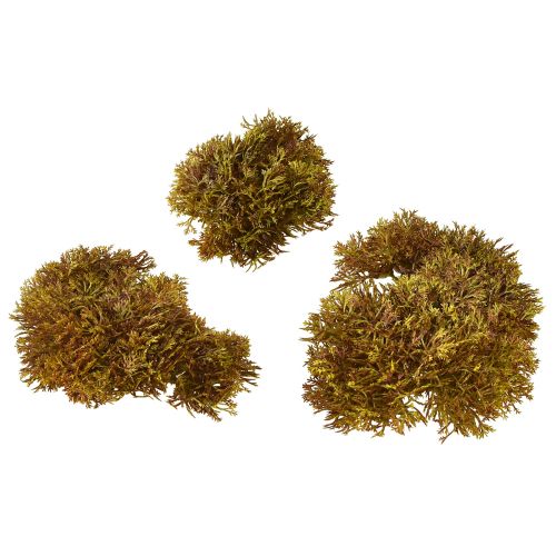 Artículo Decoración de musgo artificial marrón – cojín de musgo 10/12/14cm 3 piezas