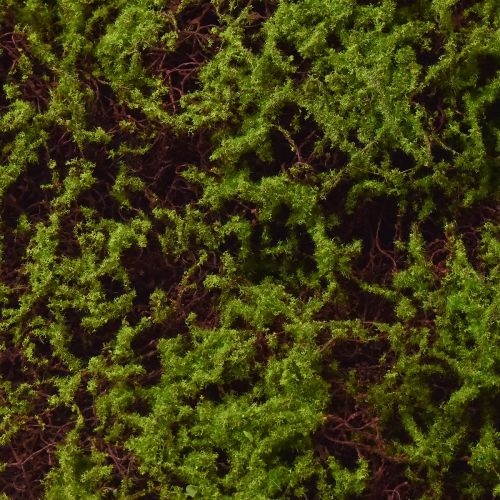 Artículo Musgo Artificial Estera de Musgo Grande Marrón Verde 100×50cm