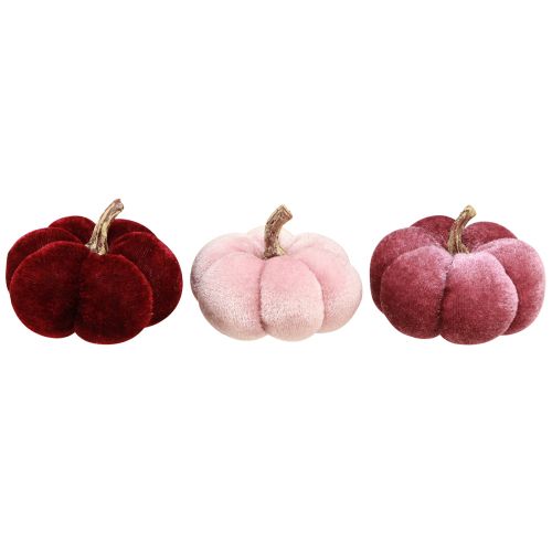 Artículo Calabaza de tela decoración terciopelo burdeos rosa Ø7cm 9 piezas