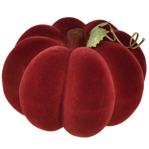 Floristik24 Decoración de calabaza calabaza flocada rojo burdeos aspecto aterciopelado 20 cm 2 piezas