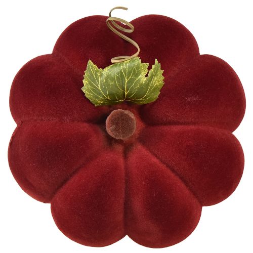 Artículo Decoración de calabaza calabaza flocada rojo burdeos aspecto aterciopelado 20 cm 2 piezas