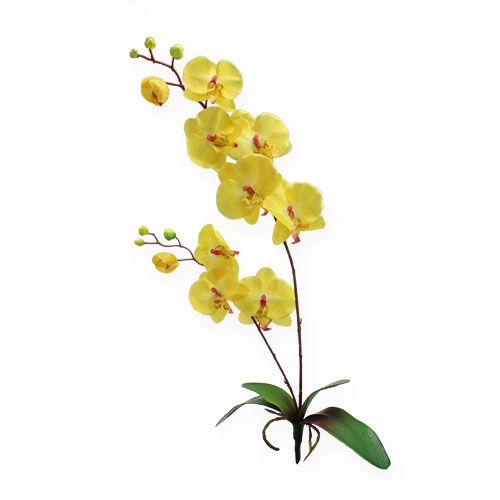 Floristik24 Orquídea artificial amarilla 68cm